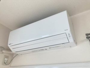 ディアスサンハイム B101号-11
