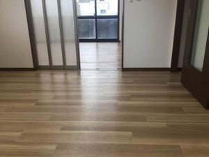 ルミエールコーポ D101号-5