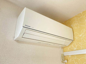 ルミエールコーポ E202号-3