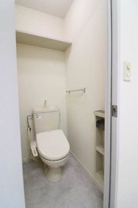 ディアスY Ⅱ号館 2101号-8