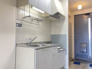 ディアスY Ⅱ号館 2202号-5