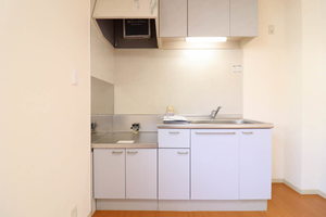 ハイビスカスＣ 0102号-2