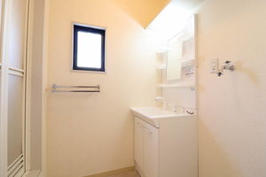 ハイビスカスＣ 0102号-4