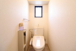 ハイビスカスＣ 0102号-6