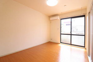 ハイビスカスＣ 0102号-8