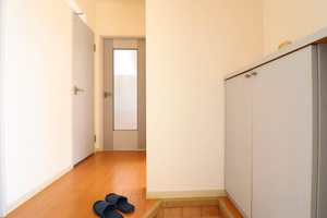 ハイビスカスＣ 0102号-10