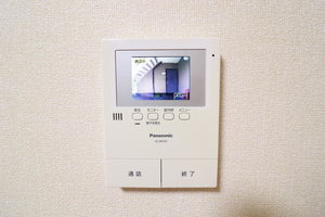 ハイビスカスＣ 0102号-11