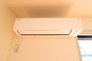 ハイビスカスＣ 0102号-12