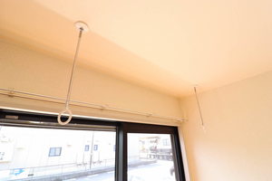 ハイビスカスＣ 0102号-13