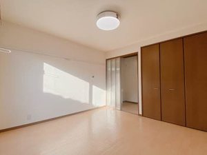 ステラ 0102号-3