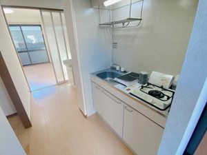 ステラ 0102号-4