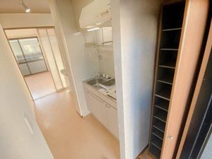 ステラ 0102号-11