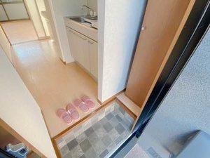 ステラ 0102号-12