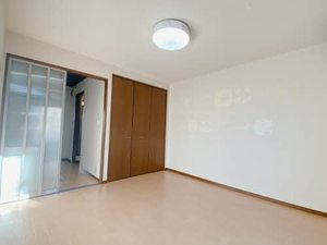 ステラ 0102号-13