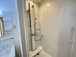 ステラ 0107号-10