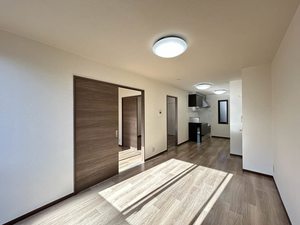 コスモ　リバーストーン 0102号-2