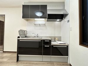 コスモ　リバーストーン 0102号-4