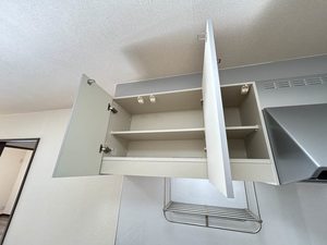 コスモ　リバーストーン 0102号-6