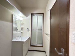 コスモ　リバーストーン 0102号-12