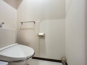 コスモ　リバーストーン 0102号-13