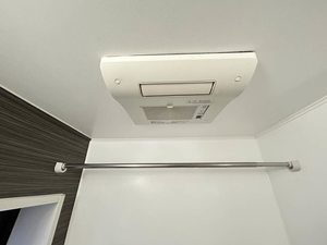 コスモ　リバーストーン 0102号-15