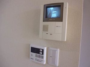 フェア　ハウス 0202号-4