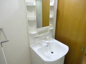 メゾン新井 0302号-5