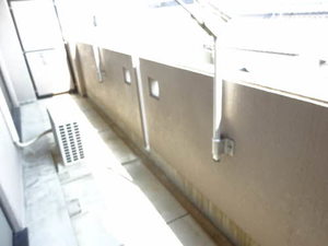 メゾン新井 0302号-12