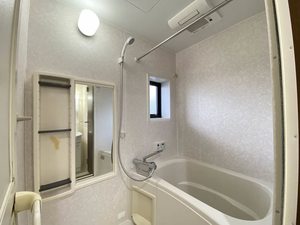 パルティータ伝法 0202号-9