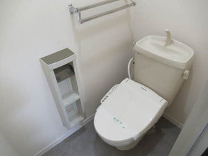 パストラル佐野 B101号-8