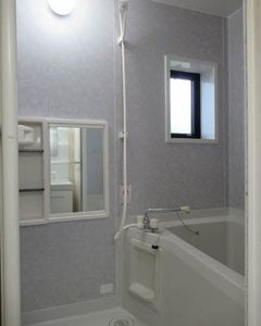 パストラル佐野 B101号-9