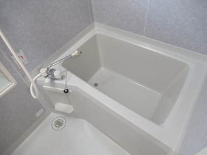 パストラル佐野 B101号-10