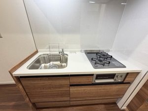 ドミール 0102号-13