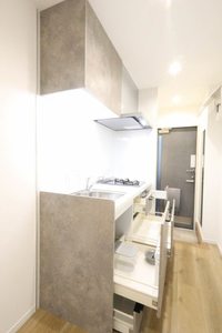 ドミール 0201号-6