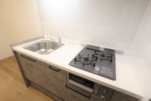 ドミール 0201号-7