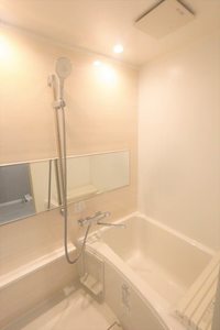 ドミール 0201号-13