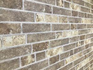 オラシオン D102号-15