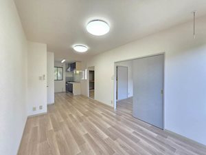 メイプルタウン F102号-2