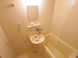 ナチュレ一幸Ⅰ 0206号-11