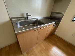 ピュアコスモ B202号-7