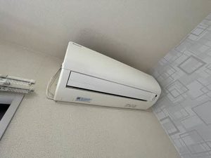 ピュアコスモ B202号-15