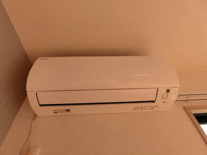 ストリートブラット 0103号-8