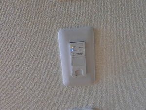 ストリートブラット 0103号-11