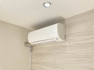 たんぽぽ館 0101号-11