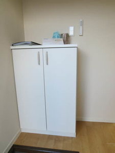 フレグランス上大沢 B101号-11