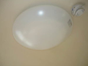 フォーレスＹＯＵ B201号-15