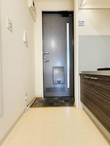 オアシス D202号-11