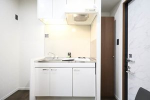 フェアリーランド A101号-2