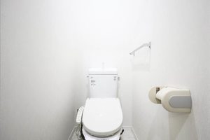 フェアリーランド A101号-7