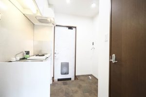 フェアリーランド A101号-8